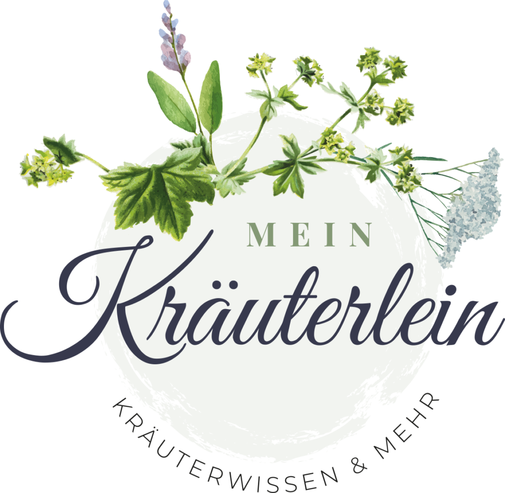 MeIn Käuterlein : Kräuterwissen & Mehr